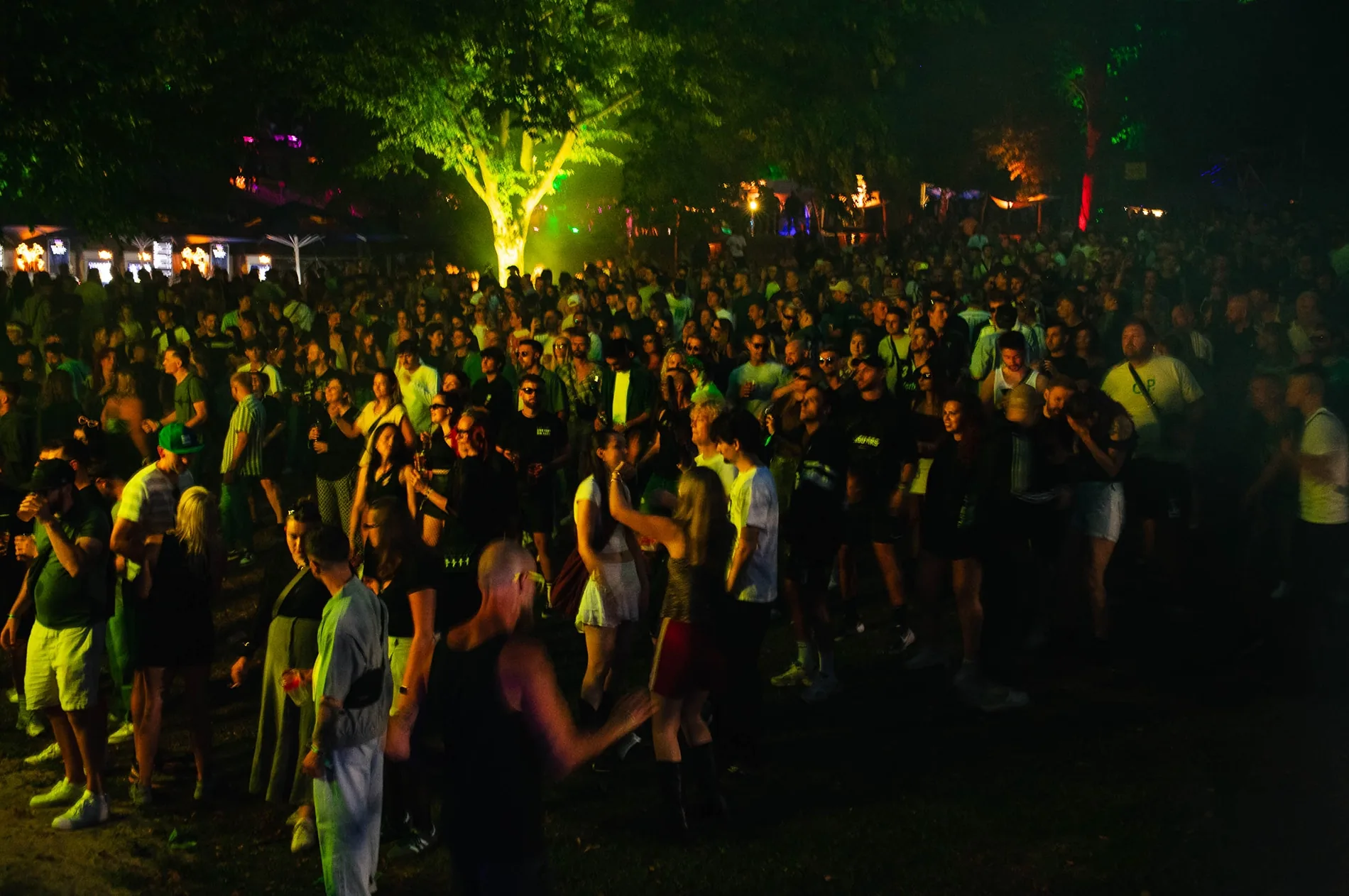 Waldfestival bei Nacht: Lichtkegel zwischen Stämmen, Nebel, Crowd